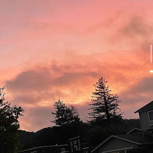 Meet your Posher, Ellie